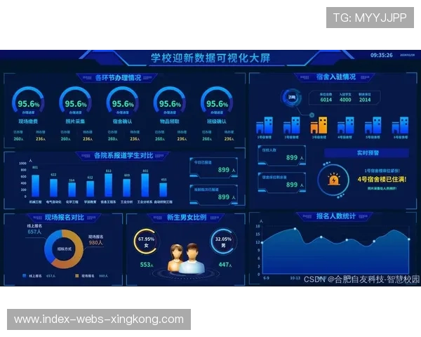 赛后数据可视化分析为教练提供决策支持，数据可视化大赛